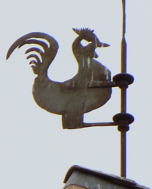 Weather Cock (513x640).jpg